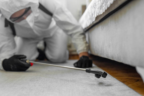 Professional Ant Control technician working in Burlington, ND