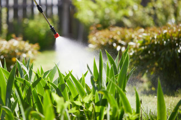 24/7 Emergency Ant Control experts in Burlington, ND